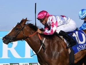 Baker-trained mares in Breeders clash