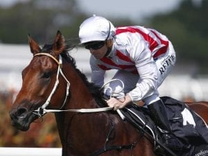Diamond steeled for sparkling debut