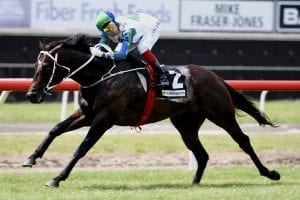 Ardrossan out of Canterbury Stakes