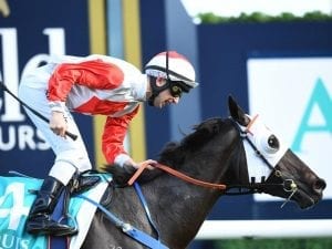 Mystic Journey ready for Guineas challenge
