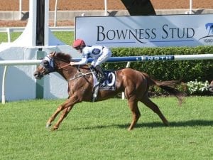 No query over Samadoubt's Canberra Cup win