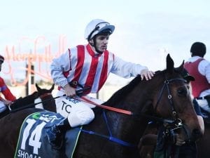 A look at the William Reid Stakes