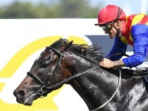 Pierata returns for Group One campaign