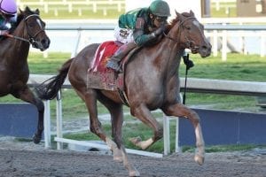 Code of Honor breaks through in Fountain of Youth