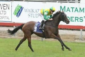 Concert Hall on song ahead of Group 3 test