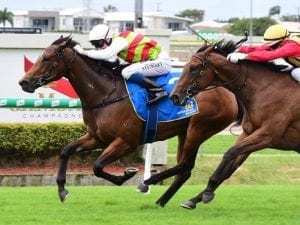 Niedorp to chase Magic Night after win