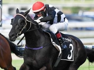 Weight no worry for Emphasis at Doomben