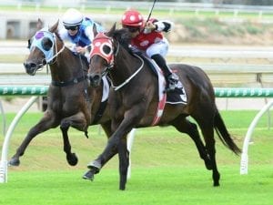 Reiby the winning colour at Doomben