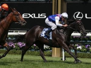 Causeway Girl on track for Sydney targets