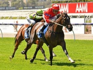 She's So High impresses with first-up win