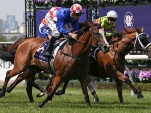 Swift Sis races to another Flemington win
