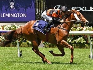 Bieg excited ahead of Slipper with colt