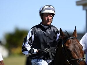 Busy times ahead for Waller and Colless