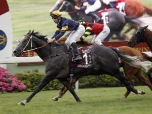 Aussie horses cleared to race in Hong Kong
