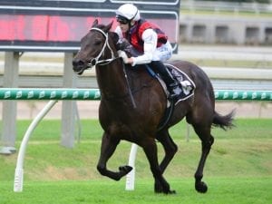 Big fields expected for Aquis Jewel day