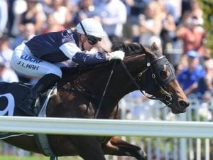 Midterm gets 1.5kg Sydney Cup penalty