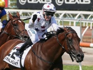 Valley gallop for Sunlight ahead of G1