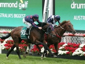 Bowman to ride Stars Of Carrum in Derby