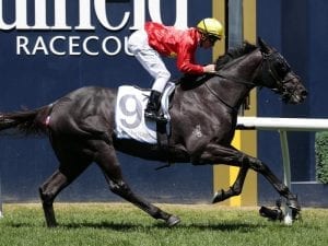 Global Exchange wins Alister Clark Stakes