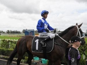 Winx ready for second-last race
