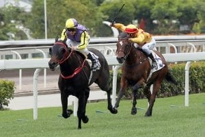 Inexperience a factor as Gibson goes for Hong Kong Derby Gold again