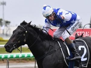 The Odyssey shines in $500,000 Jewel win