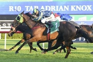 Sargent’s house of Group 1 hopes