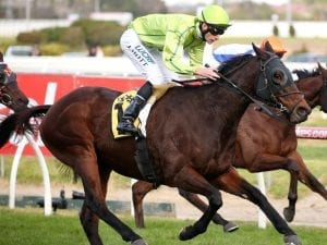 Self Sense wins a thrilling hometown Cup