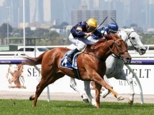 Hang Man after free Caulfield Cup ticket