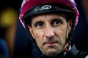 Callan’s on the Sunny side with Derby rides in hot demand