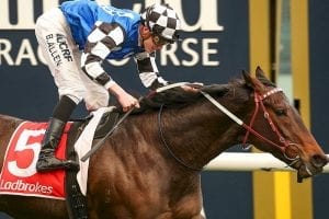 Import debuts for new stable at Flemington