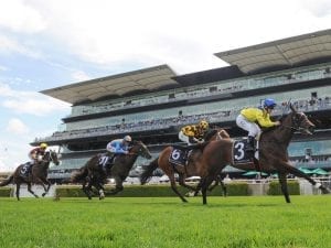 Anaheed emerges as Sweet Slipper chance