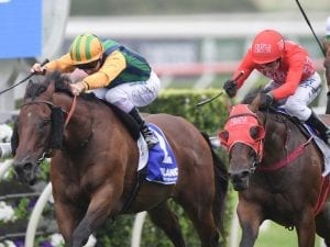 Ball outmuscles Redzel in Challenge