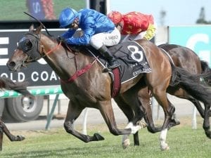 Godolphin still packing the Slipper aces