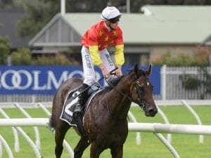 Godolphin poised for bumper Golden Slipper Godolphin poised for bumper Golden Slipper