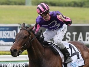 Moss 'N' Dale to bounce back at Rosehill