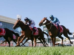 Bieg believes draw ideal for Free Of Debt