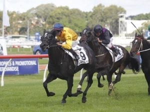 Kiwi mare out to emulate Silent Achiever
