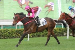 2019 BMW Hong Kong Derby runners revealed