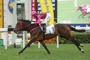 Waikuku draws wide but is on track for Sunday’s Hong Kong Derby
