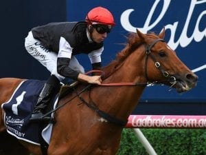 Written By to shine in William Reid Stakes