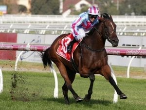 Beriman and Maher combine for stakes win