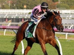 Miss Leonidas takes out Bel Esprit Stakes
