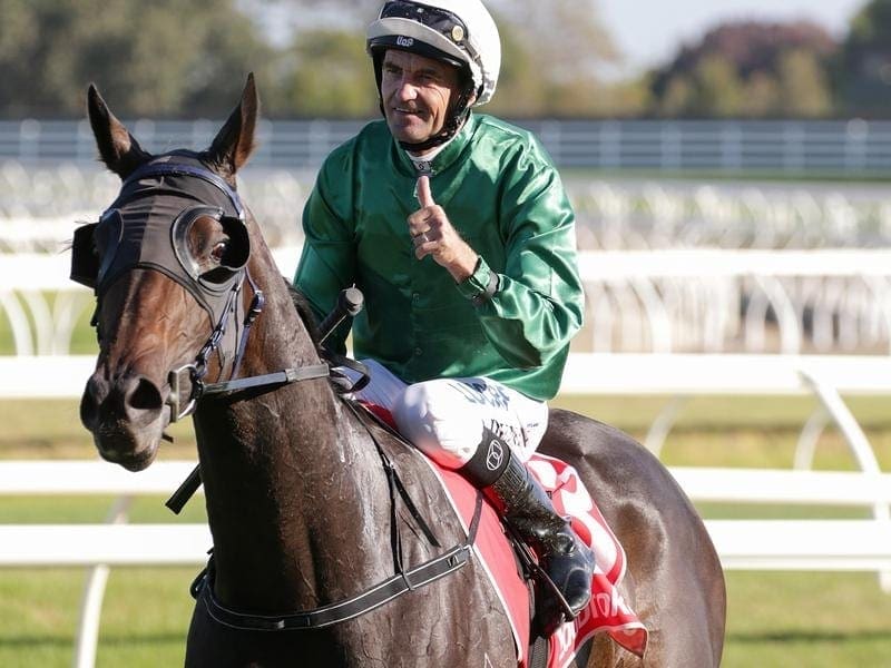 Jockey Dwayne Dunn returns to scale on Graceful Storm