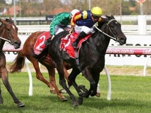 Tassie filly holds on in Caulfield victory