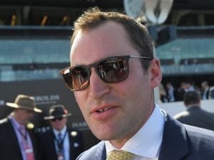 Saccharo out to bounce back at Caulfield