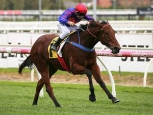 Twitchy Frank lands big prize at Caulfield