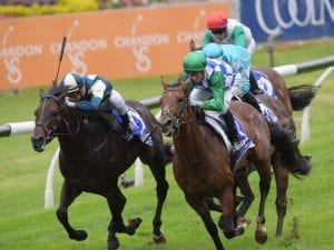 McNeil hoping to star in Doncaster Mile