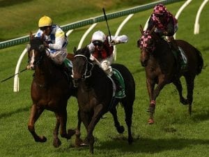 Nothdurft in first stakes win at Doomben