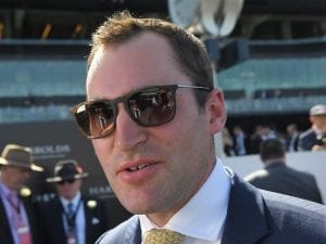 Chaillot to face stakes test at Flemington